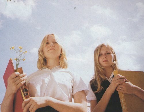 the virgin suicides